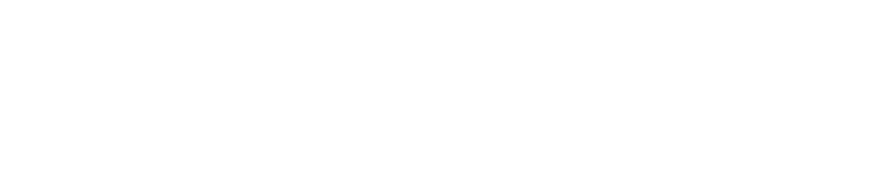 Datanomix Logo White