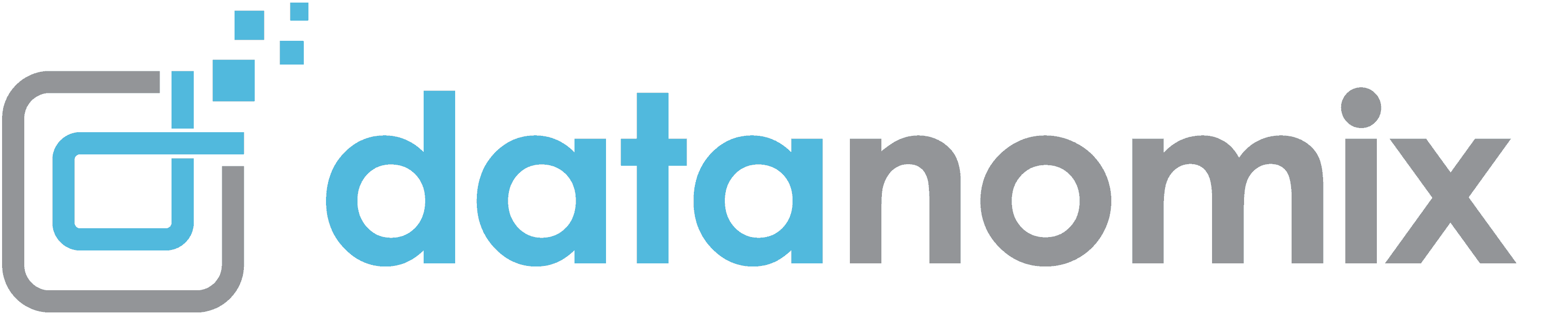 Datanomix Logo